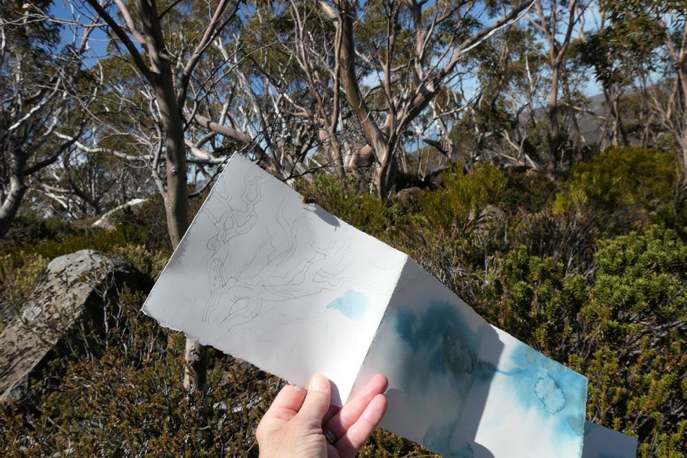 AW plein air snow gums 01