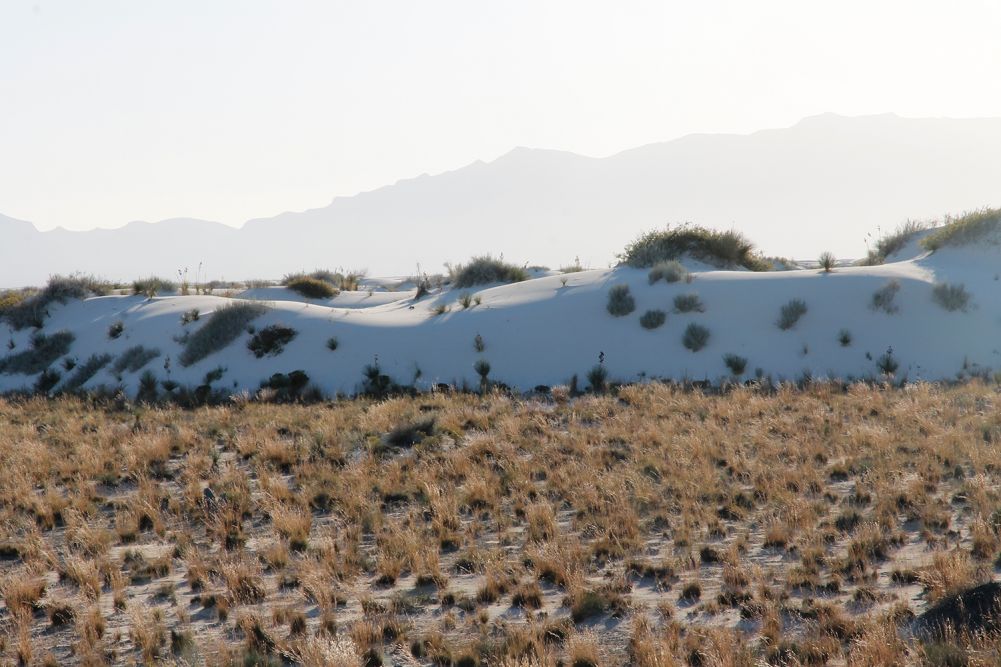 AW White Sands NM W