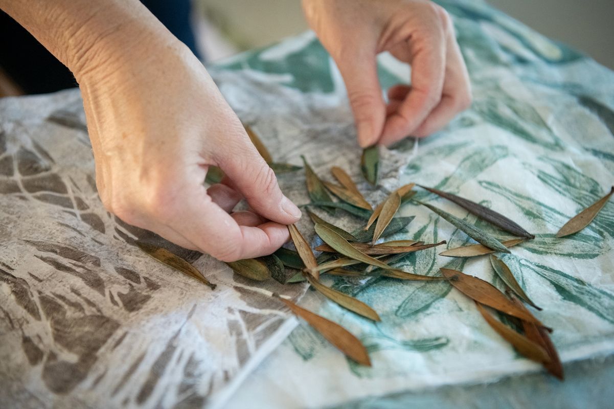 AW waratah leaves 68 Workshop W