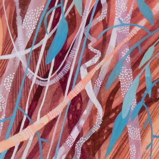 LLP Lichen vines Cooloola W